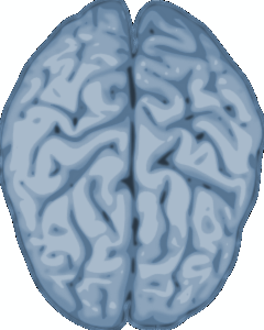 Our Magical Brain