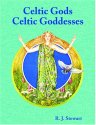 Celtic Gods and Goddesses by R.J. Stewart