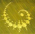 golden spiral crop circle